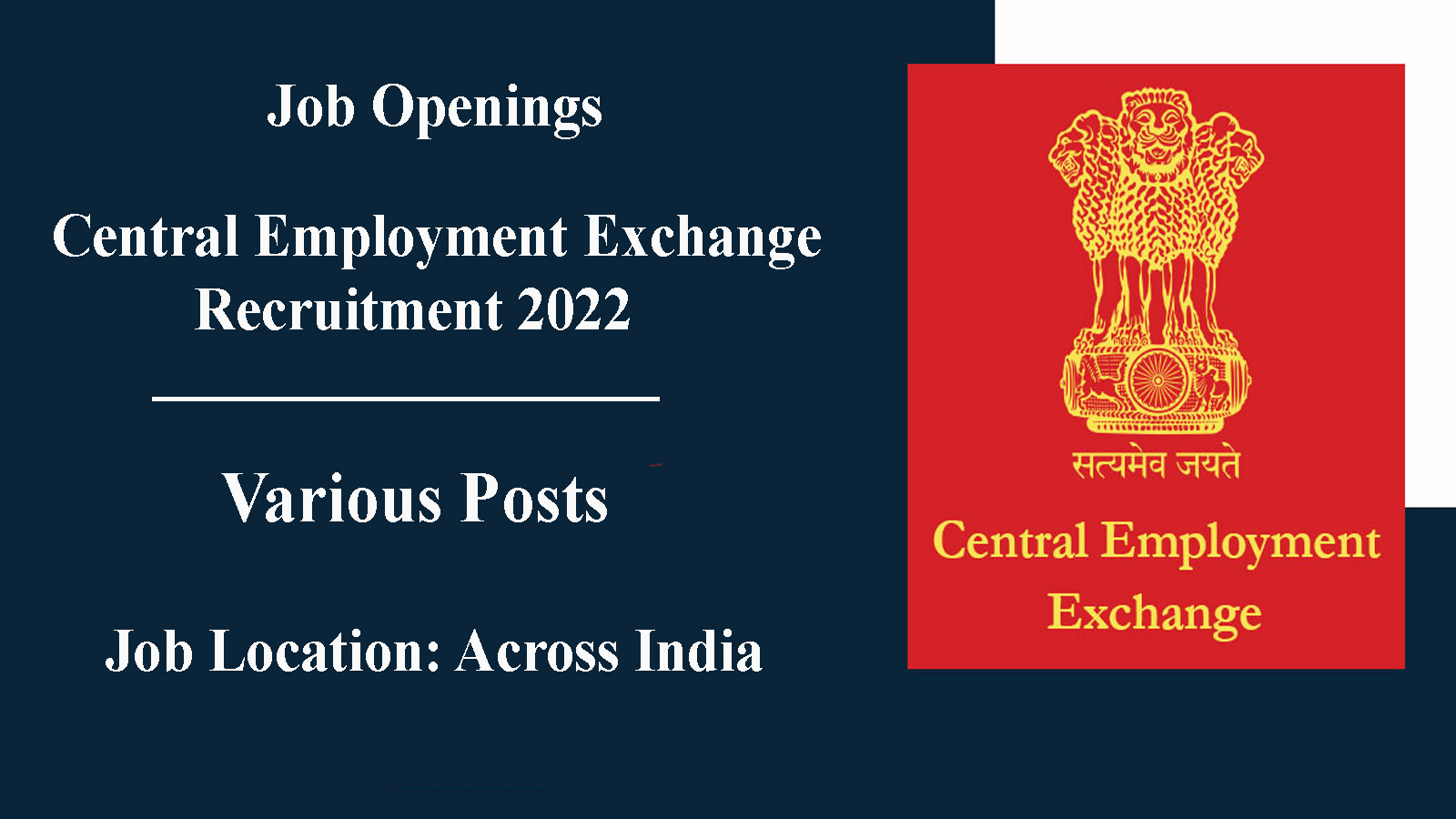 49 Posts | Central Employment Exchange Recruitment 2022