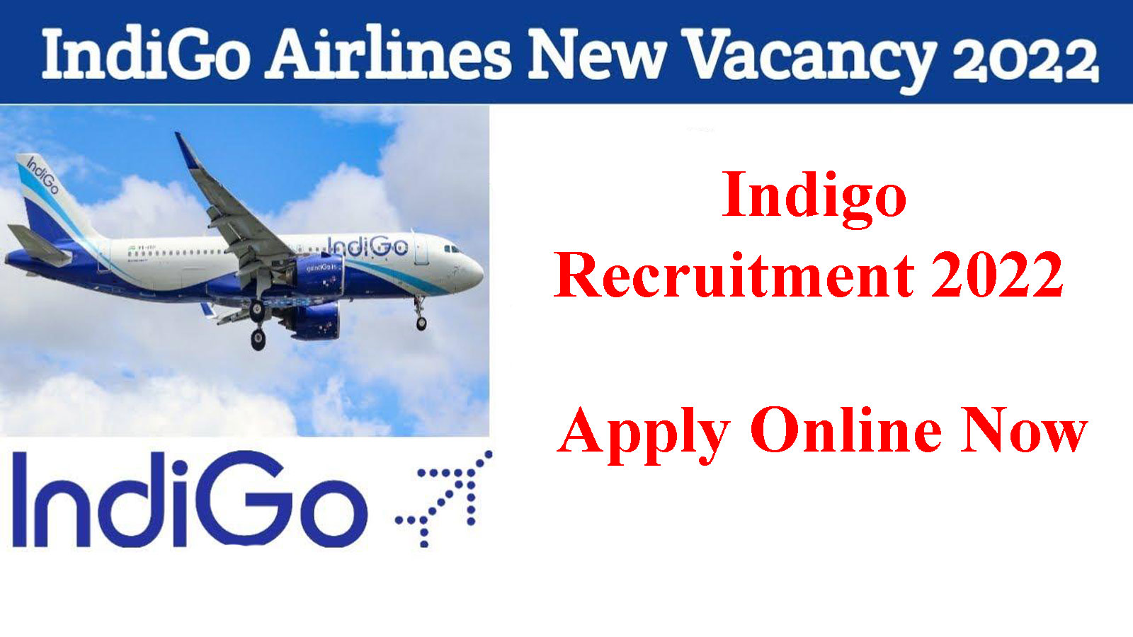 Indigo Recruitment, Check Eligibility and Apply Online