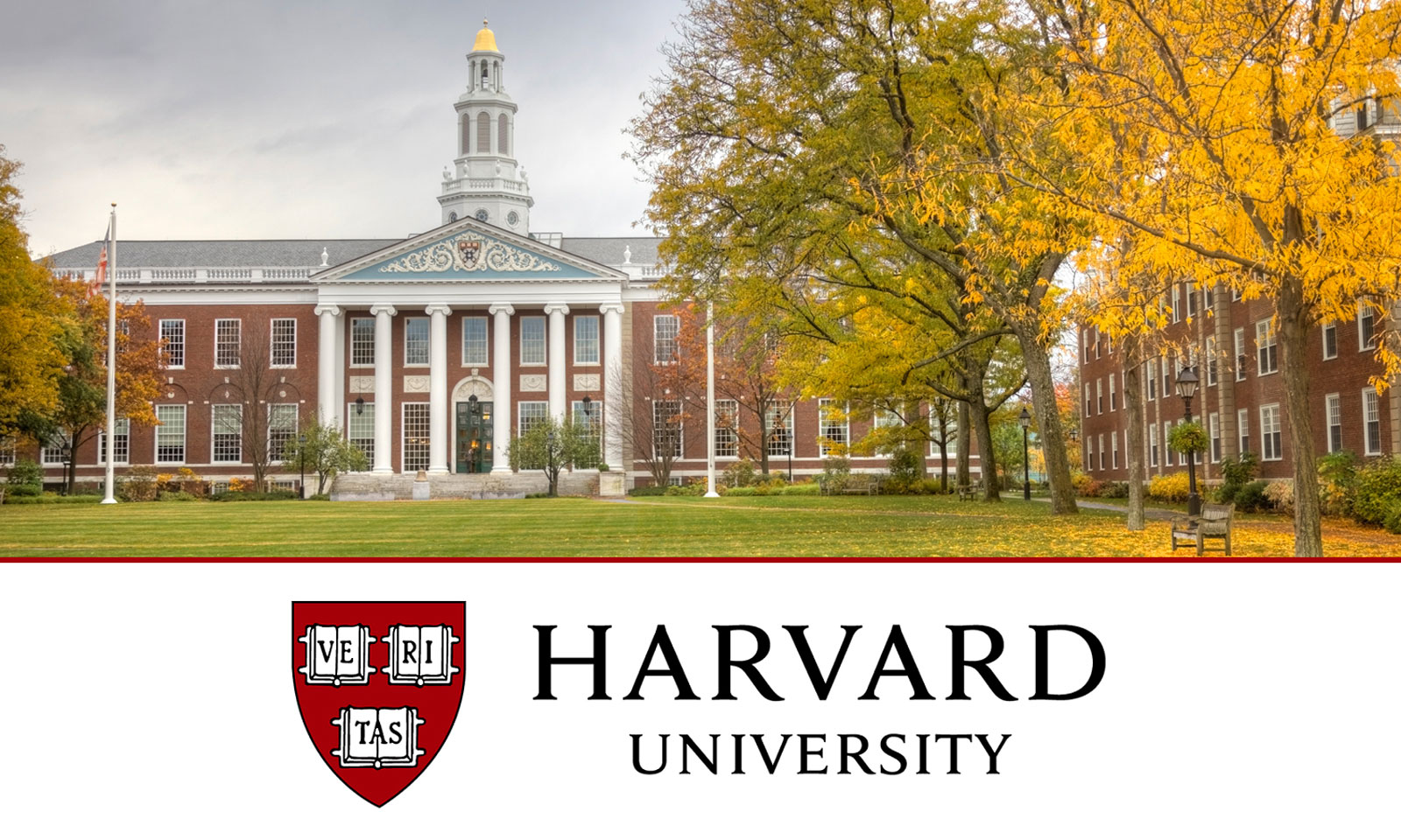 Harvard University offers free online courses; Apply Online