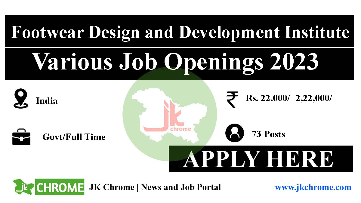 Footwear Design and Development Institute (FDDI) Recruitment 2023