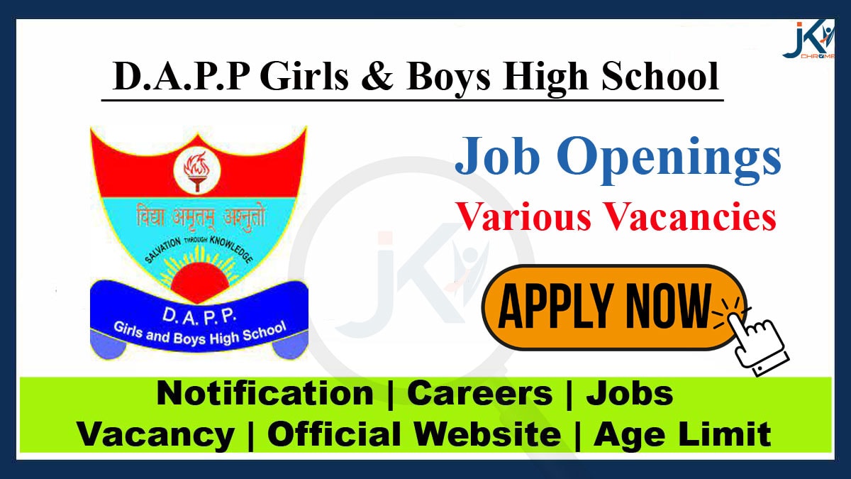 DAPP Girls and Boys High School Jobs 2023