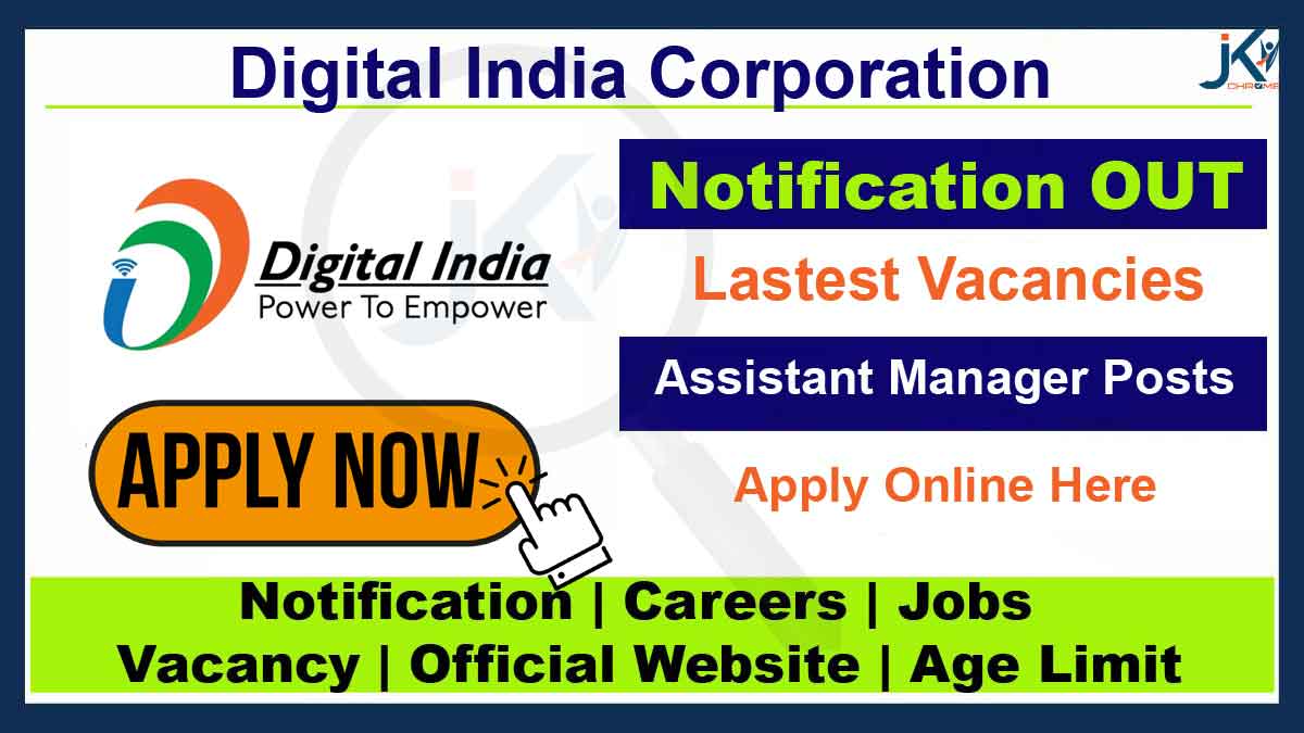 DIC Assistant Manager Recruitment 2023