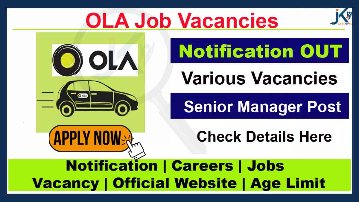Senior Manager Job Vacancy at OLA
