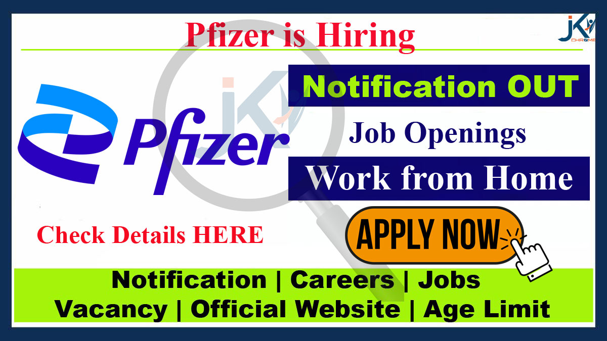 Pfizer Job Vacancy (Work from Home), Apply Online
