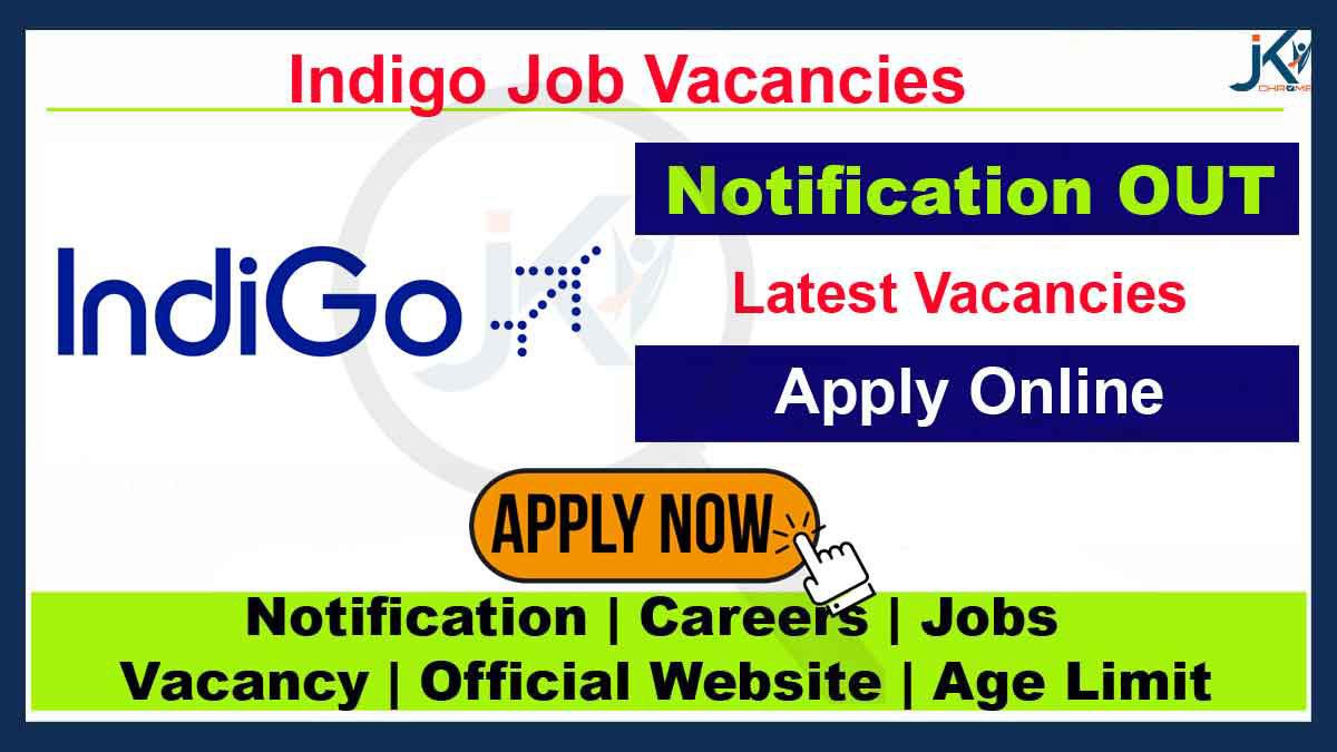 Indigo Manager Job Vacancy, Apply Online
