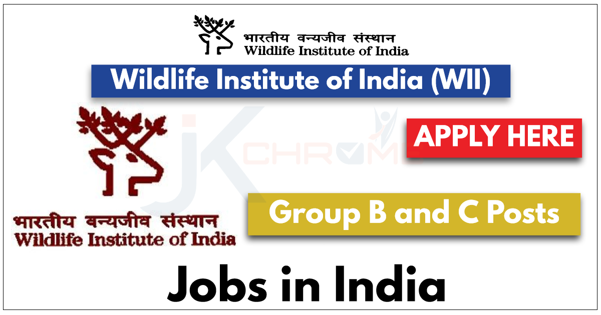 Wildlife Institute of India (WII) Recruitment 2024, Group B and C Posts