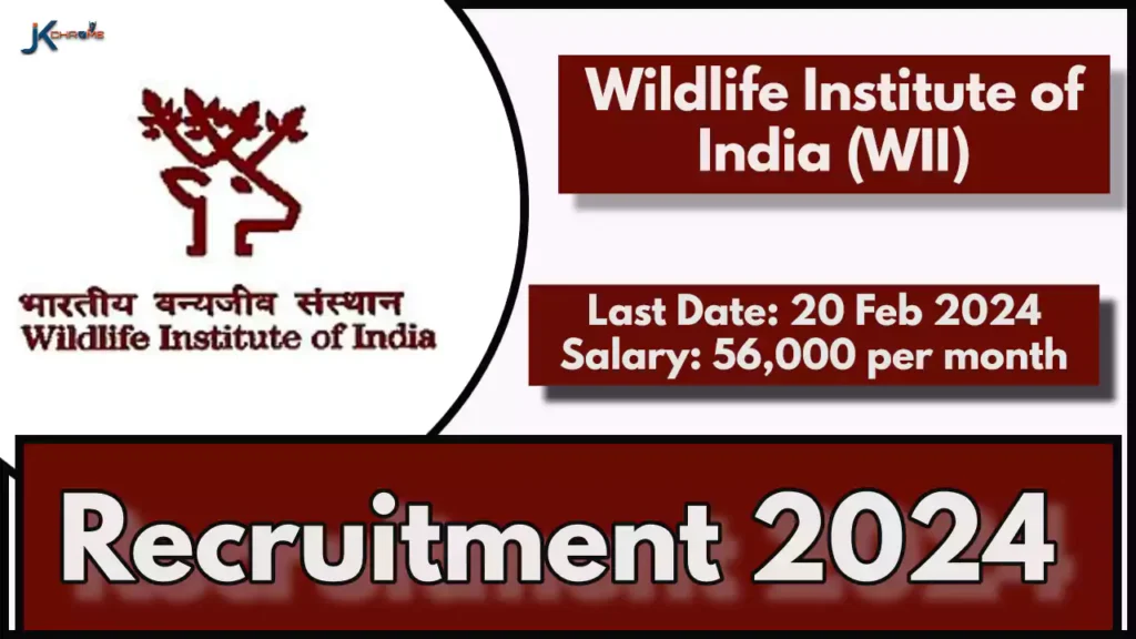 Wildlife Institute of India Recruitment 2024