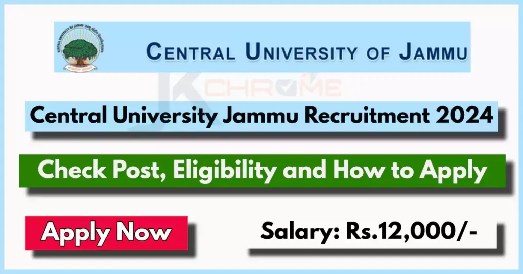 Central University Jammu Project Assistant Jobs 2024