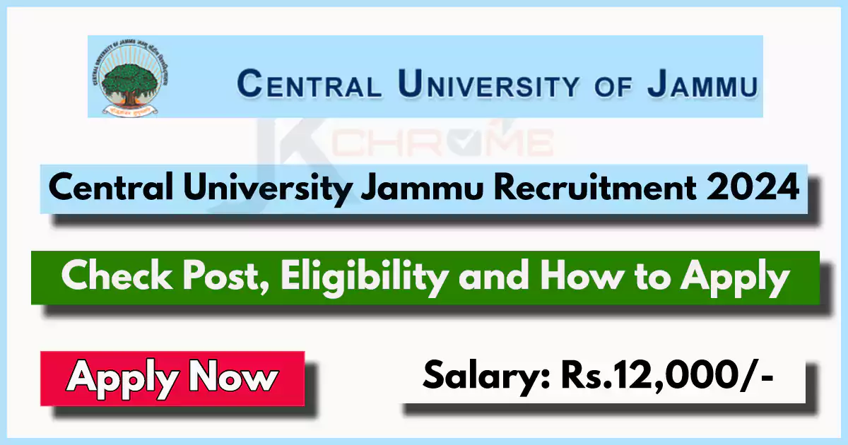 Central University Jammu Project Assistant Jobs 2024