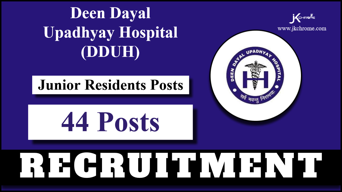 DDHU Recruitment 2024 for 44 Posts, Check Eligibility Criteria and Walk-in Interview Details Now