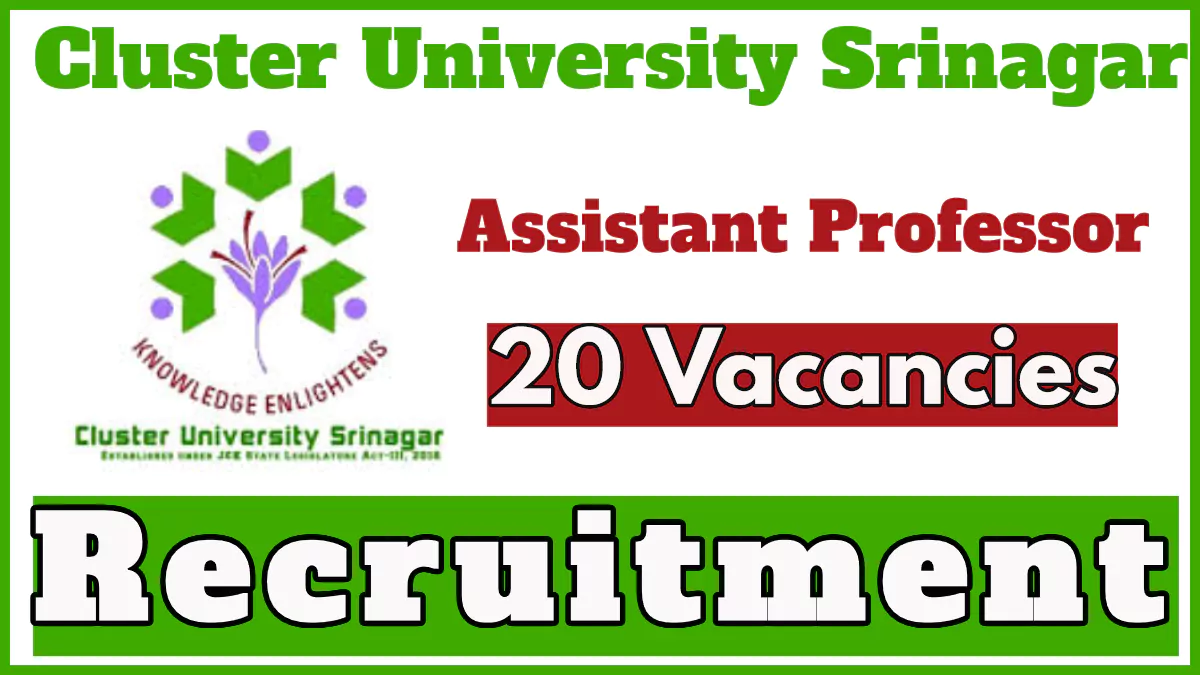 Cluster University Srinagar Assistant Professor Recruitment 2024 Notification, Check Vacancies