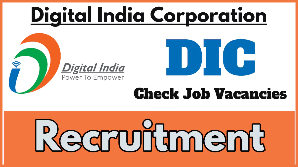 DIC Recruitment 2024, Apply Now for Senior Developer (Full Stack) Post