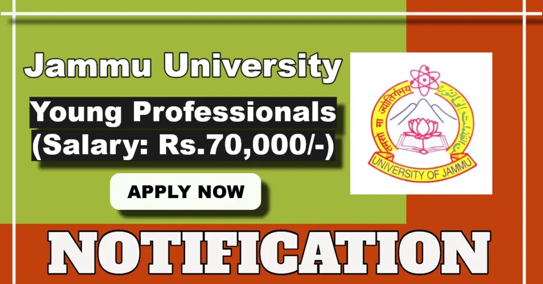 Jammu University hiring Young Professionals for IT Enabled Services and Management Centre