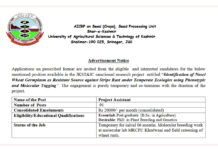 SKUAST Kashmir Project Assistant Recruitment 2026 for AICRP on Seed Crops